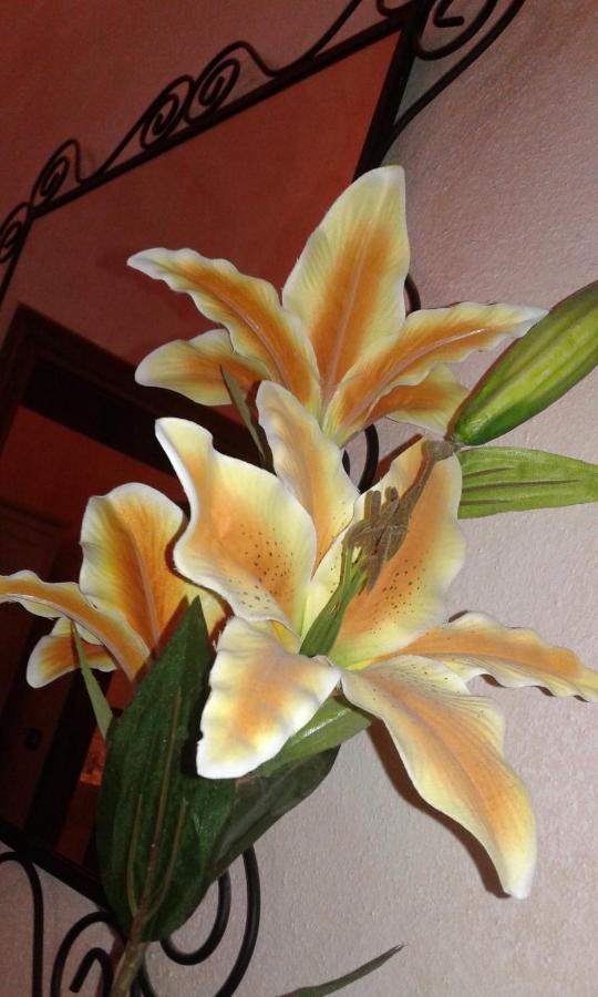Il Giglio D'Oro Bed & Breakfast Arezzo Bagian luar foto
